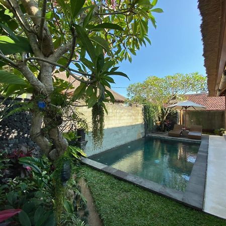 Rumah Dadong Ubud Exteriör bild
