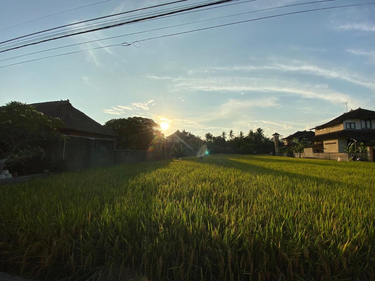 Rumah Dadong Ubud Exteriör bild