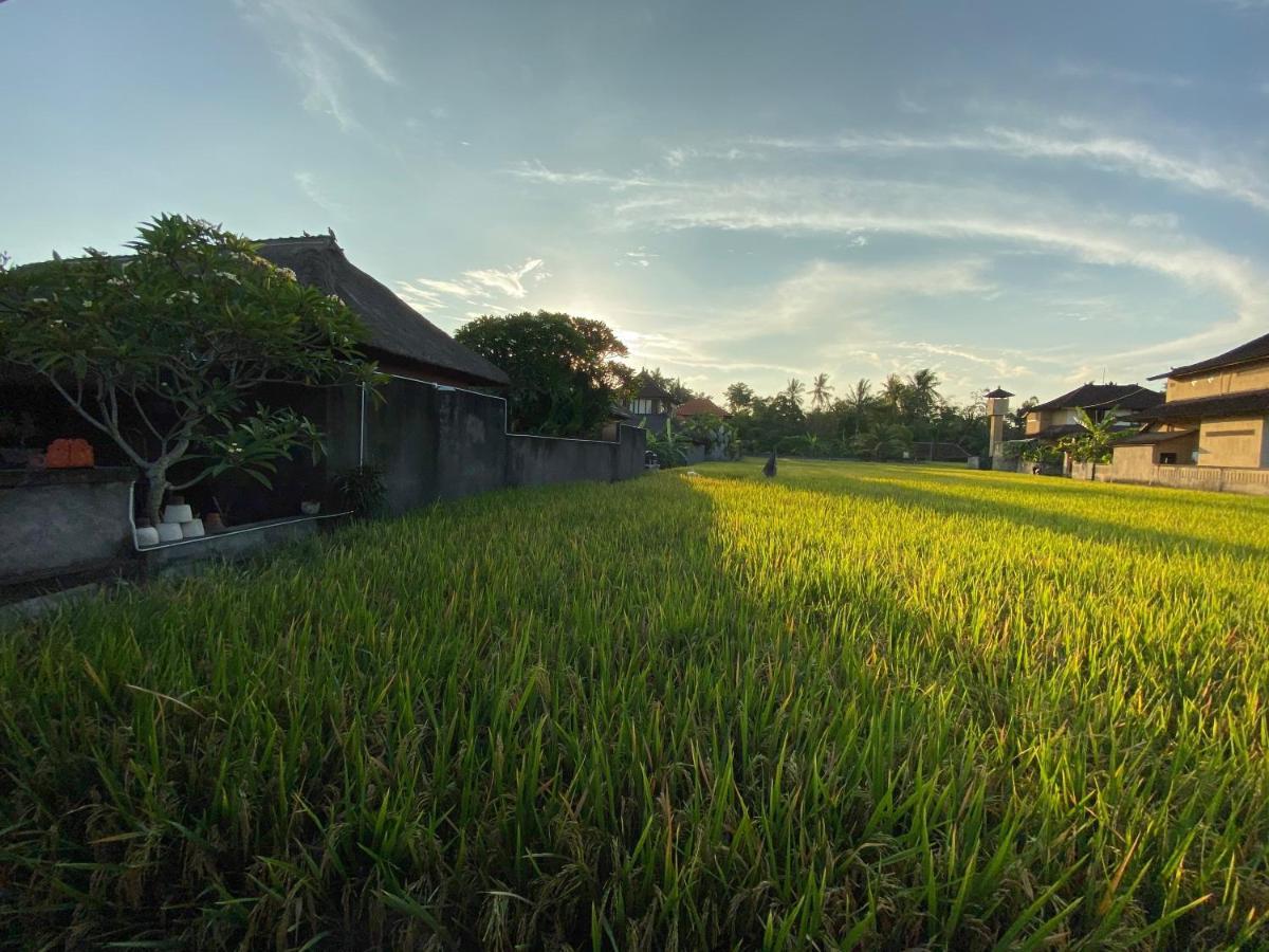 Rumah Dadong Ubud Exteriör bild