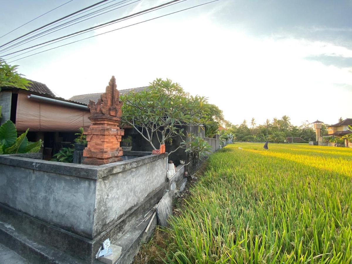 Rumah Dadong Ubud Exteriör bild